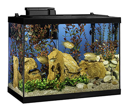 Tetra 20 Gallon Aquarium Kit